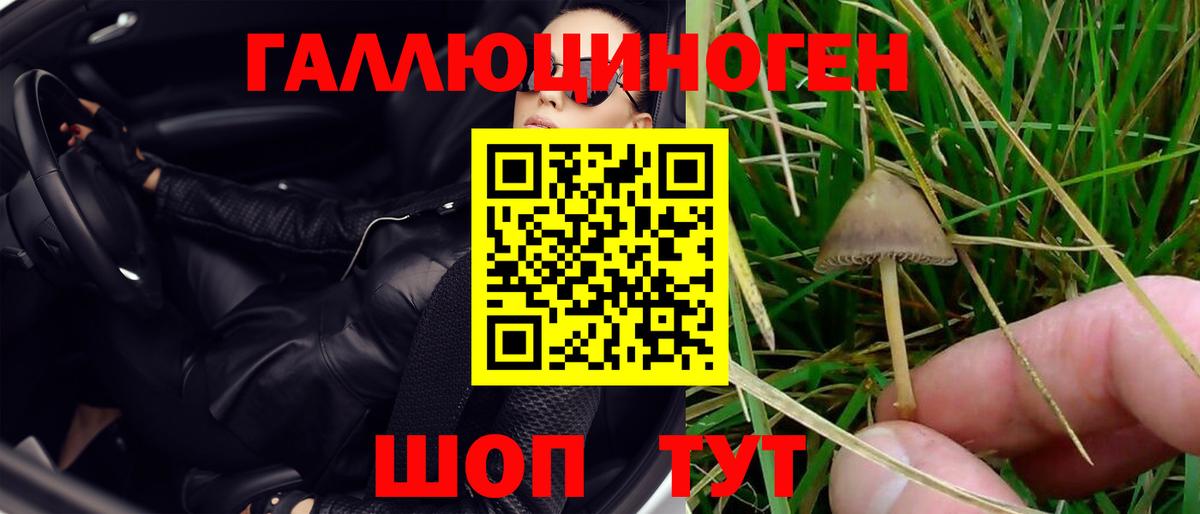 Псилоцибиновые грибы Magic Shrooms  Вход с VPN  наркота  Алексеевка 