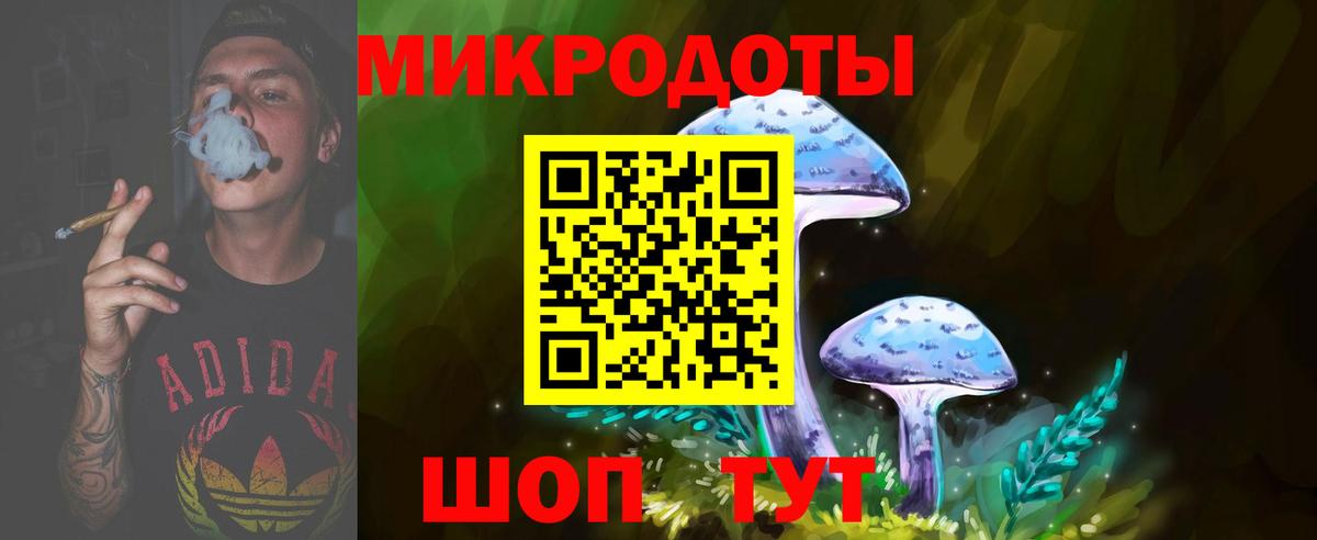 Галлюциногенные грибы Cubensis Алексеевка